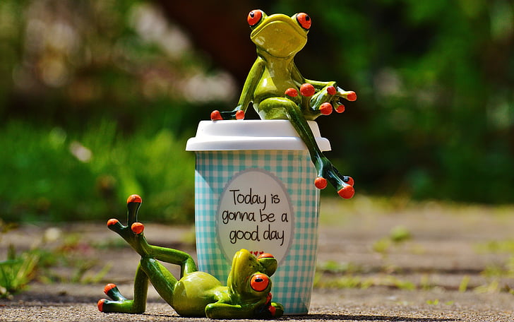krásny deň, radosť, žaba, káva, pohár, šťastný, šťastie