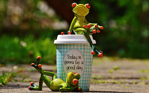 belle journée, joie, grenouille, café, Coupe, heureux, bonheur