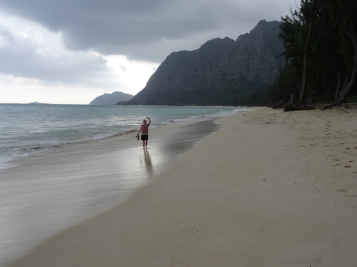 praia, solitário, areia, mar, oceano, mulher, onda