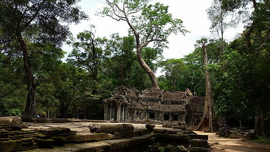 Kambodža, chrám, korene