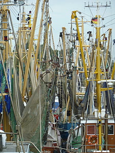 海, 桅杆, 船舶, 帆帆柱, 海洋, 刀具, 螃蟹