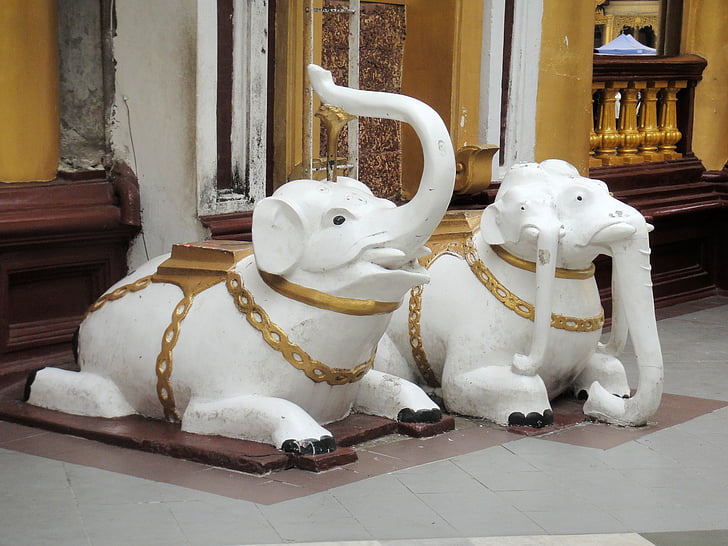 slon, Myanmar, chrám, sloni