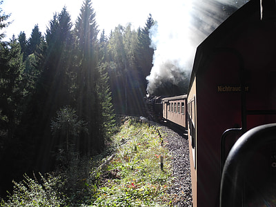 loco, locomotiva a vapore, treno, Zugfahrt, vapore, Sunbeam