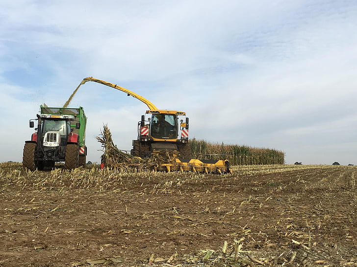 traktor, sklizeň, kukuřice, zemědělská vozidla, zemědělství, pole, čas sklizně
