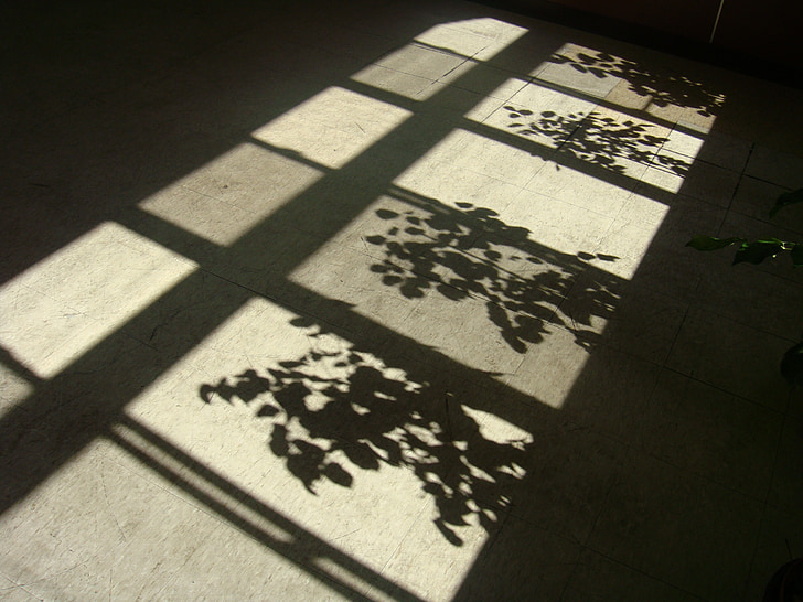 shadows, shadow, after the afternoon