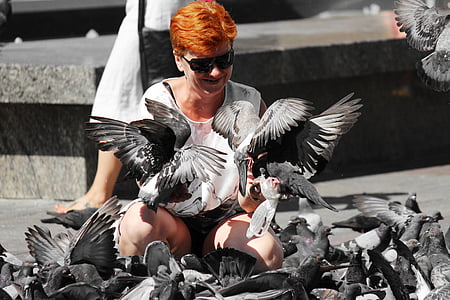 pombos, Praça, mulher, cabelo vermelho, óculos de sol, aves, forragens