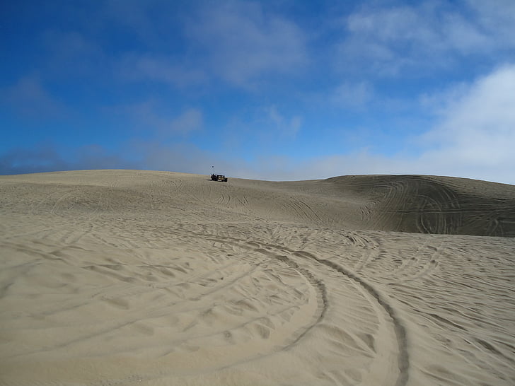 pismo, 모래 언덕, 캘리포니아