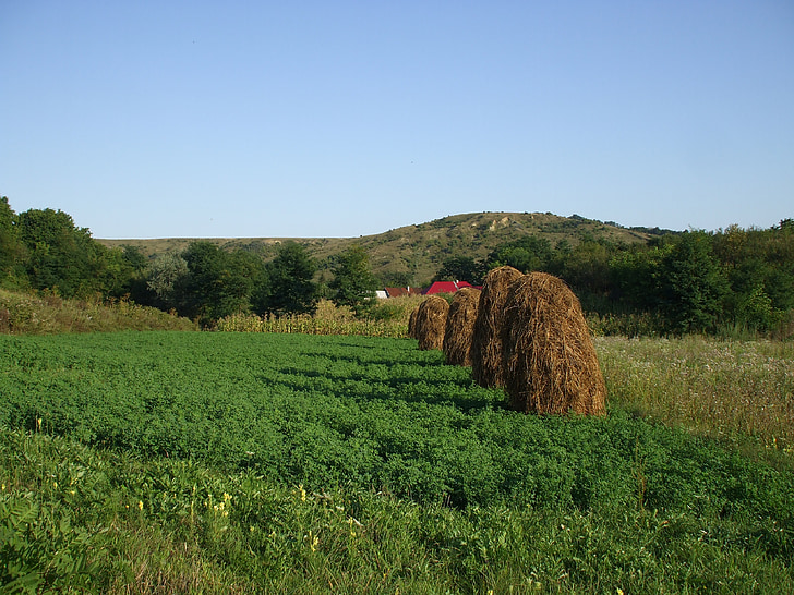 countryside, rural, haystacks, agriculture, nature, bale, rural Scene