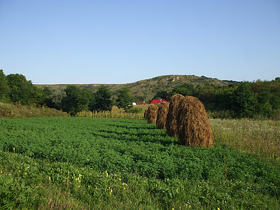 maal, maaelu, haystacks, põllumajandus, loodus, Bale, maaelu stseen