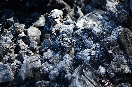 les cendres, charbons, carbonisé, bois brûlé, feu éteint, feu, texture