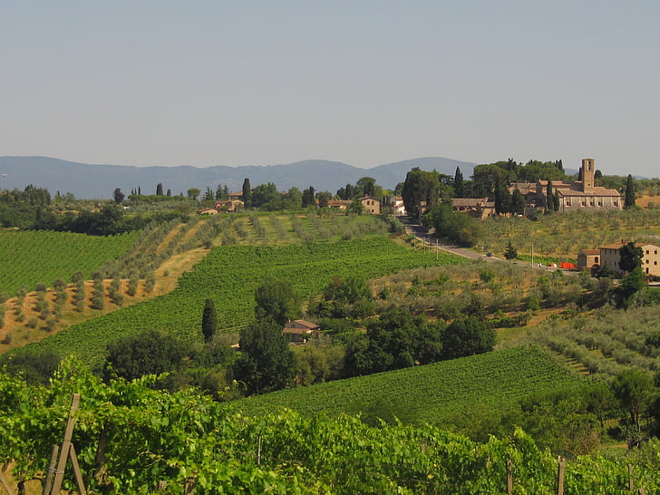 Toscana, agricoltura, viticoltura, olive, paesaggio