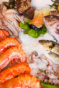 Meeresfrüchte, Essen, gesund, Meer, frisch, Fisch, Restaurant