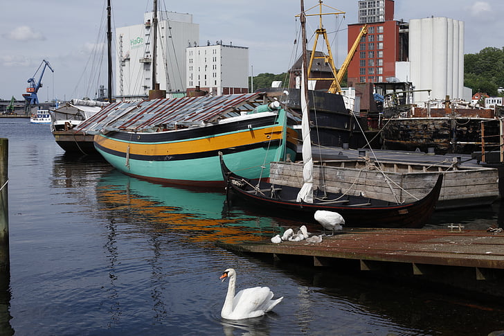 Flensburg, pristanišča, labod, družinski labod, mladi, ladje, fjord