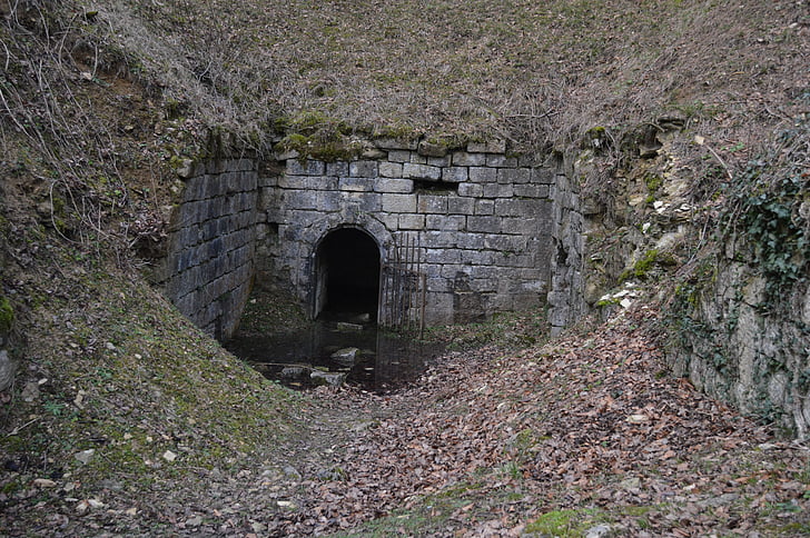 Verdun, guerra, rovina, Bunker, foresta