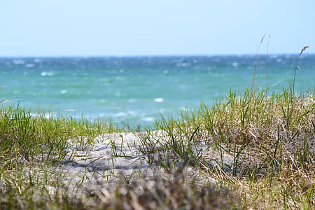 natura, spiaggia, mare, Mar Baltico