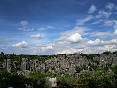 stein skog, i yunnan-provinsen, landskapet