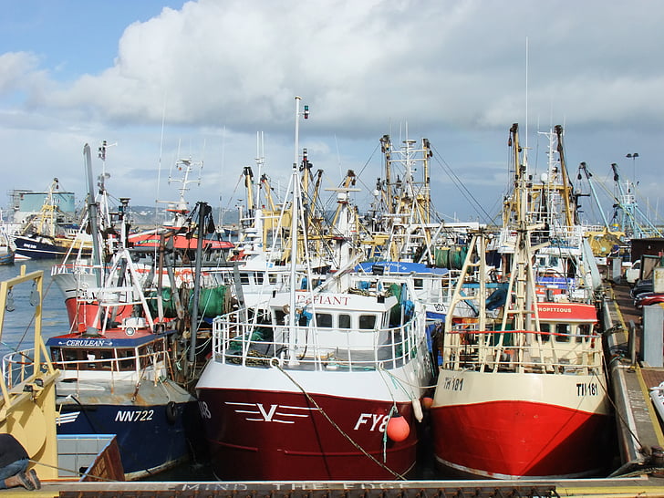 trawler, Brixham, Devon, fiskeri, industri, fartøjer, kajen