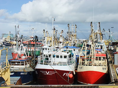 Trawler, Brixham, Devon, Angeln, Industrie, Schiffe, Kai