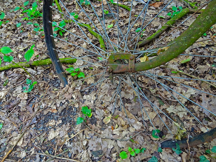 bike, rim, wheel, stainless, nature, forest, decomposition