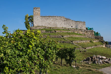 hoheneck, Castelo de hoheneck, Ludwigsburg Alemanha, Castelo, Baden württermberg, Historicamente, ruína