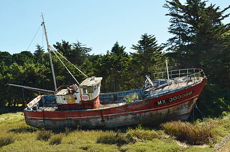 boat, ship, wreck, ship wreck, rust, neglect, dry