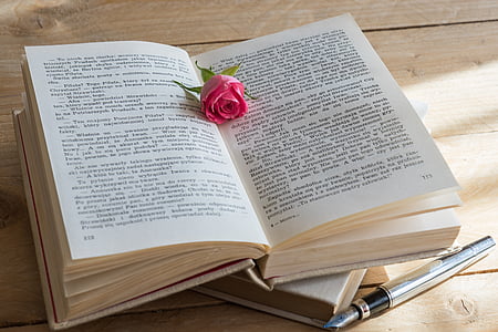 libro, color de rosa, pluma, romántica, historia de amor, libro antiguo, escena romántica