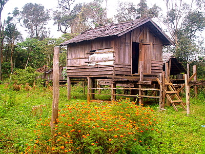 pile dwelling, crannog, stilt houses, hut, cabin, wooden, shack