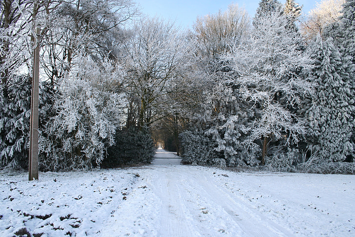 Зимен пейзаж, картина на Коледа, Зимни сцена, снежна пейзаж
