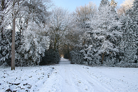 Zimná krajina, vianočné obrázok, zimné scény, Snehobiela krajina
