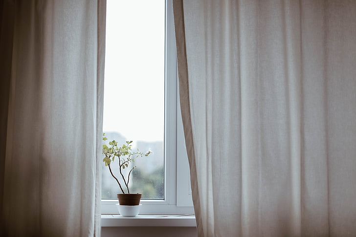 curtains, decoration, indoors, plant, pot plant, window, curtain