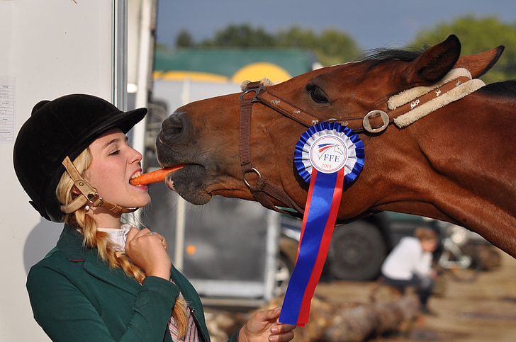 лошадь, девочка, Победитель, морковь, соучастие, Конный спорт, молодой