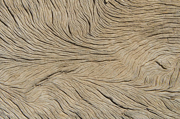 wood, veins, texture, backgrounds, pattern, wood - Material, material