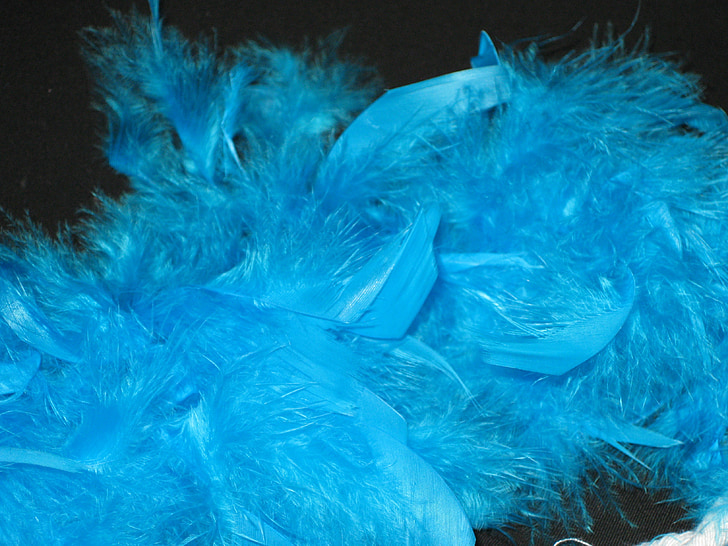 feather boa, boa, blue, perlon, carnival, panel