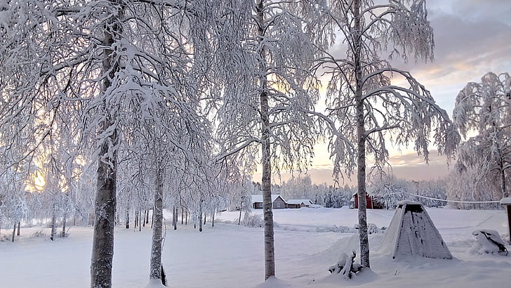 冬, クリスマス, 雪, 冷, 自然, 雪に覆われました。, 冬
