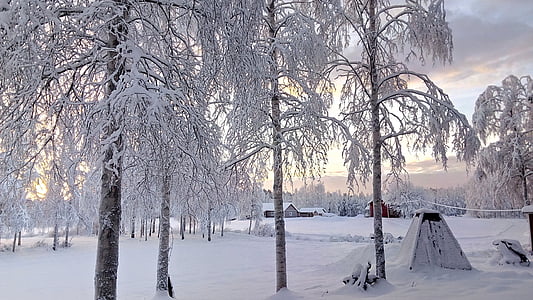 talvistel, jõulud, lumi, külm, loodus, lumine, talvel