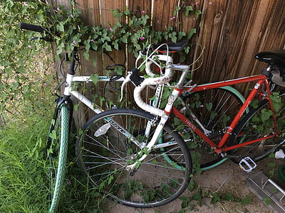 자전거, 자전거, 포도 나무, 자란