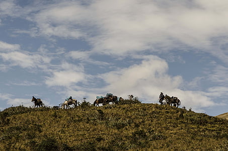 arrieros, Peru andes, Andes günbatımı