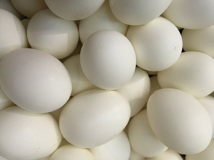 goose egg, ganzen eieren, Paasei, decoratie, ei, Pasen, lente