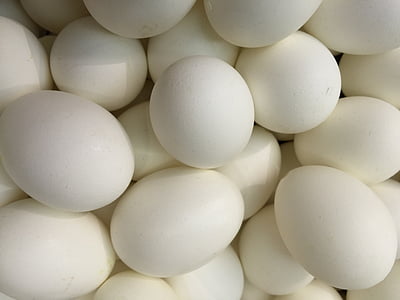 ガチョウの卵, ガチョウの卵, イースターの卵, 装飾, 卵, イースター, 春