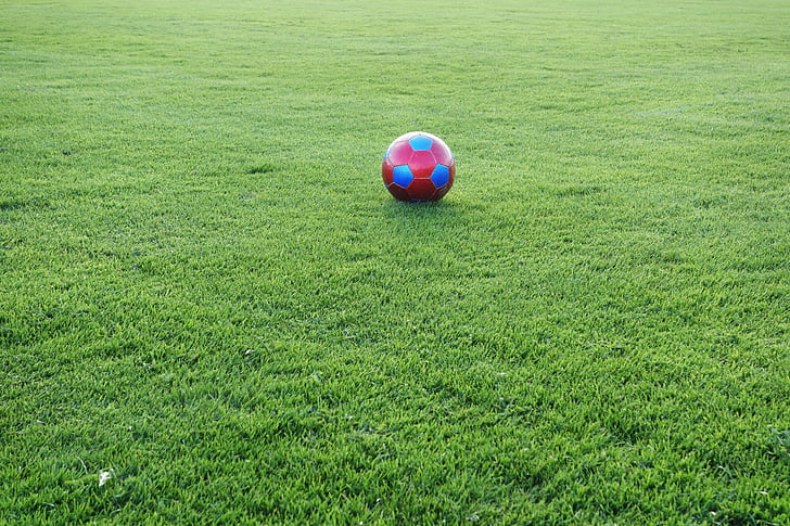 football, sports ground, ball, football pitch, sport, rush, ball sports