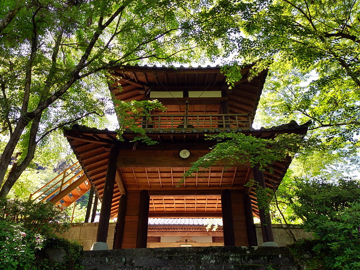 Japonya, Hitoyoshi, Yeşil, Tapınak, Turizm, kapı