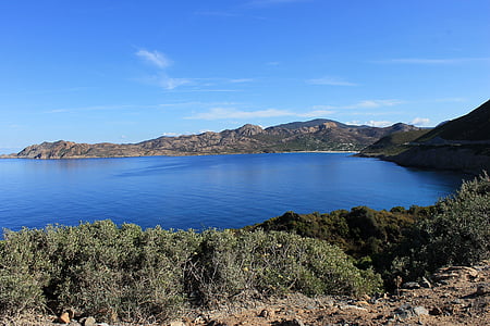 Corsica, maquis, đảo, hòn đảo của vẻ đẹp, cảnh quan, màu xanh, hoang dã