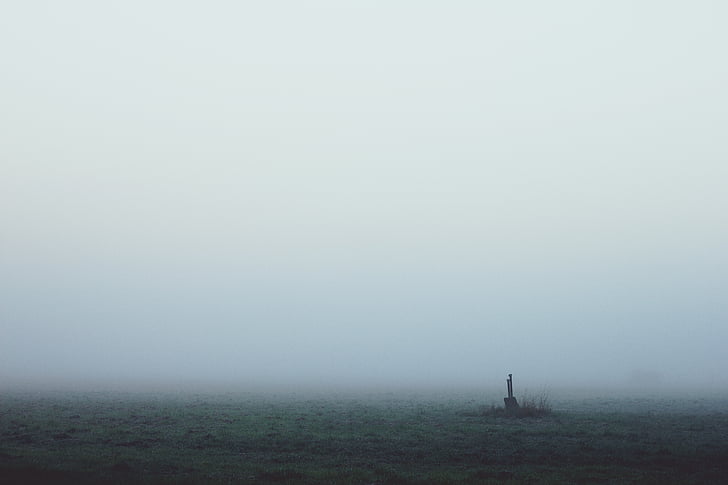 fog, dawn, landscape, morgenstimmung, mood, true detective, nebulized