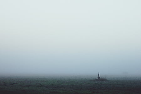 Nebel, Dawn, Landschaft, Morgenstimmung, Stimmung, wahre Detektiv, vernebelt