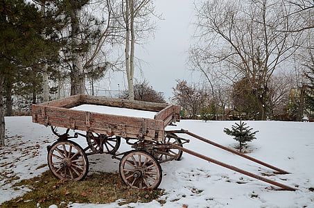carriage, rides, trees, outside, snow, winter, carriage rides