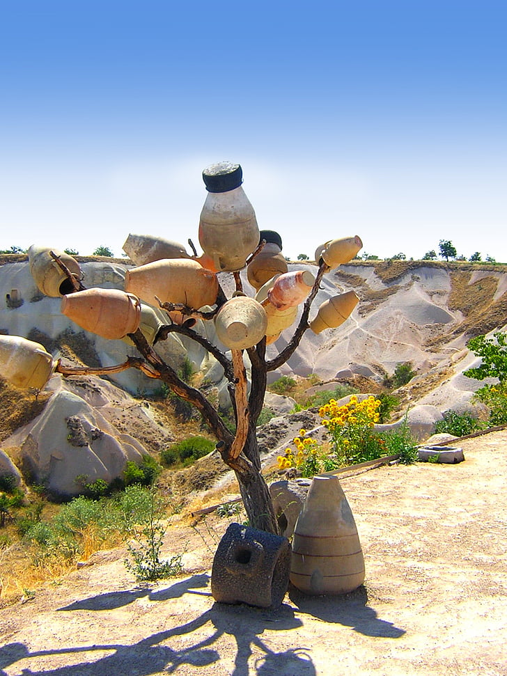 pot, tree, desert, trees, elements, drought, decorative