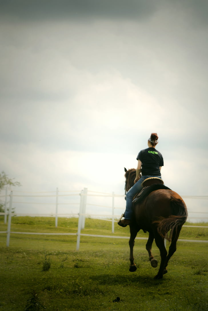 zemlja, zelenilo, Konjički sport, konjski, farma, ograda, polje