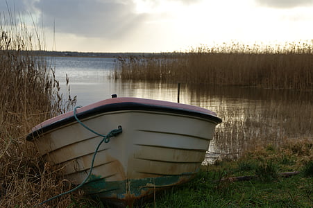 rowing boat, lake, landscape, abendstimmung, denmark, peaceful