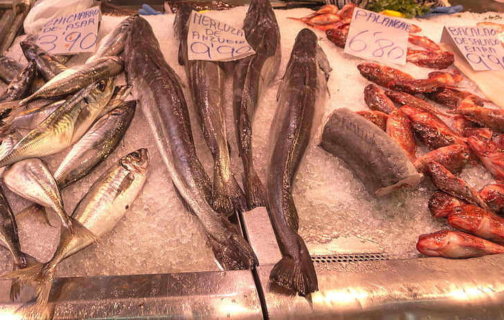 fish, fish shop, market, hake, red mullet, sardines, ice