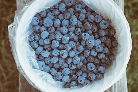 antioxidants, basket, bench, berries, blueberries, bucket, food